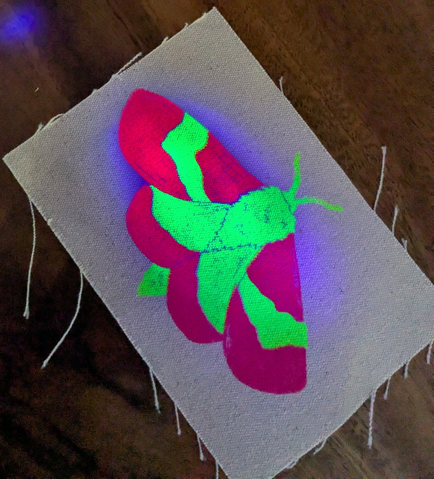 Rosy Maple Moth UV Reactive Patch