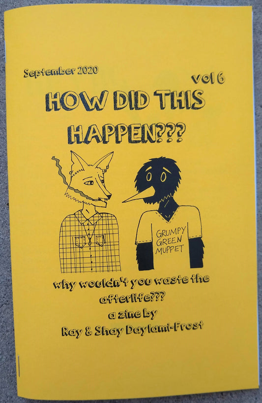 How Did This Happen??? Zine Vol 6 why wouldn't you waste the afterlife???