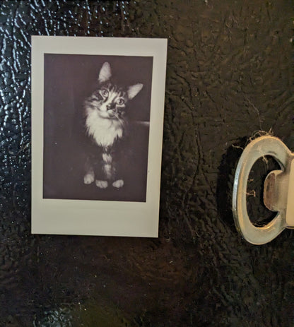 Clementine Polaroid Magnet