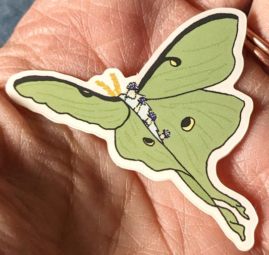 Mycena Subcyanocephala Luna Moth Vinyl Sticker