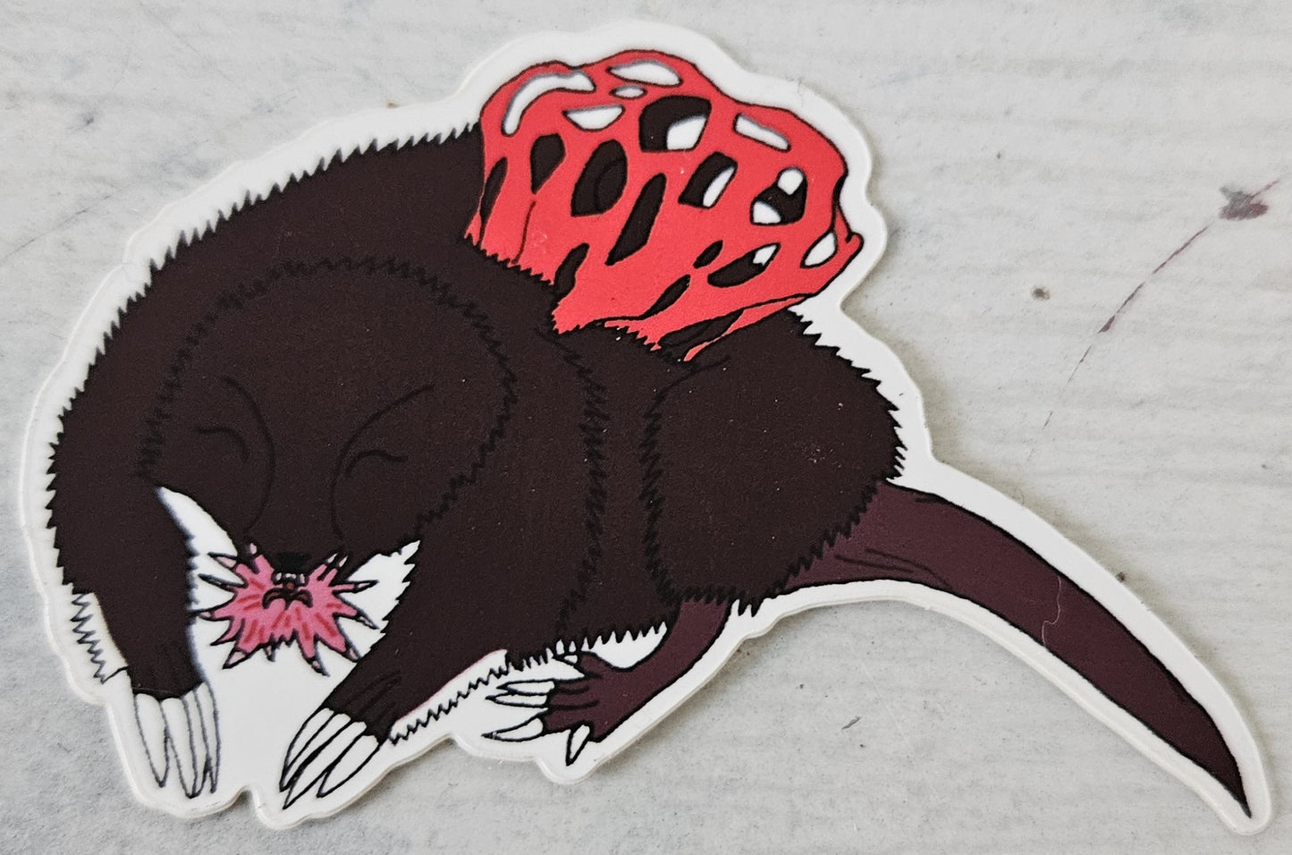 Red Stinkhorn Basket Starnosed Mole Vinyl Sticker