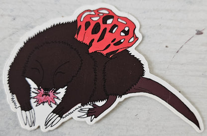 Red Stinkhorn Basket Starnosed Mole Vinyl Sticker
