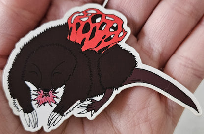 Red Stinkhorn Basket Starnosed Mole Vinyl Sticker