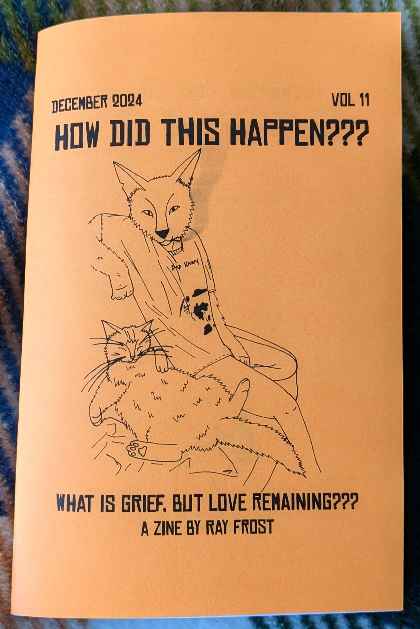 How Did This Happen??? Zine Vol 11 what is grief but love remaining???