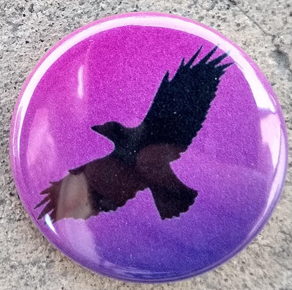 Bi Pride Crow Button