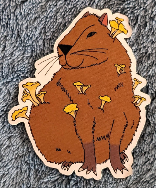 Chanterelle Capybara Vinyl Sticker