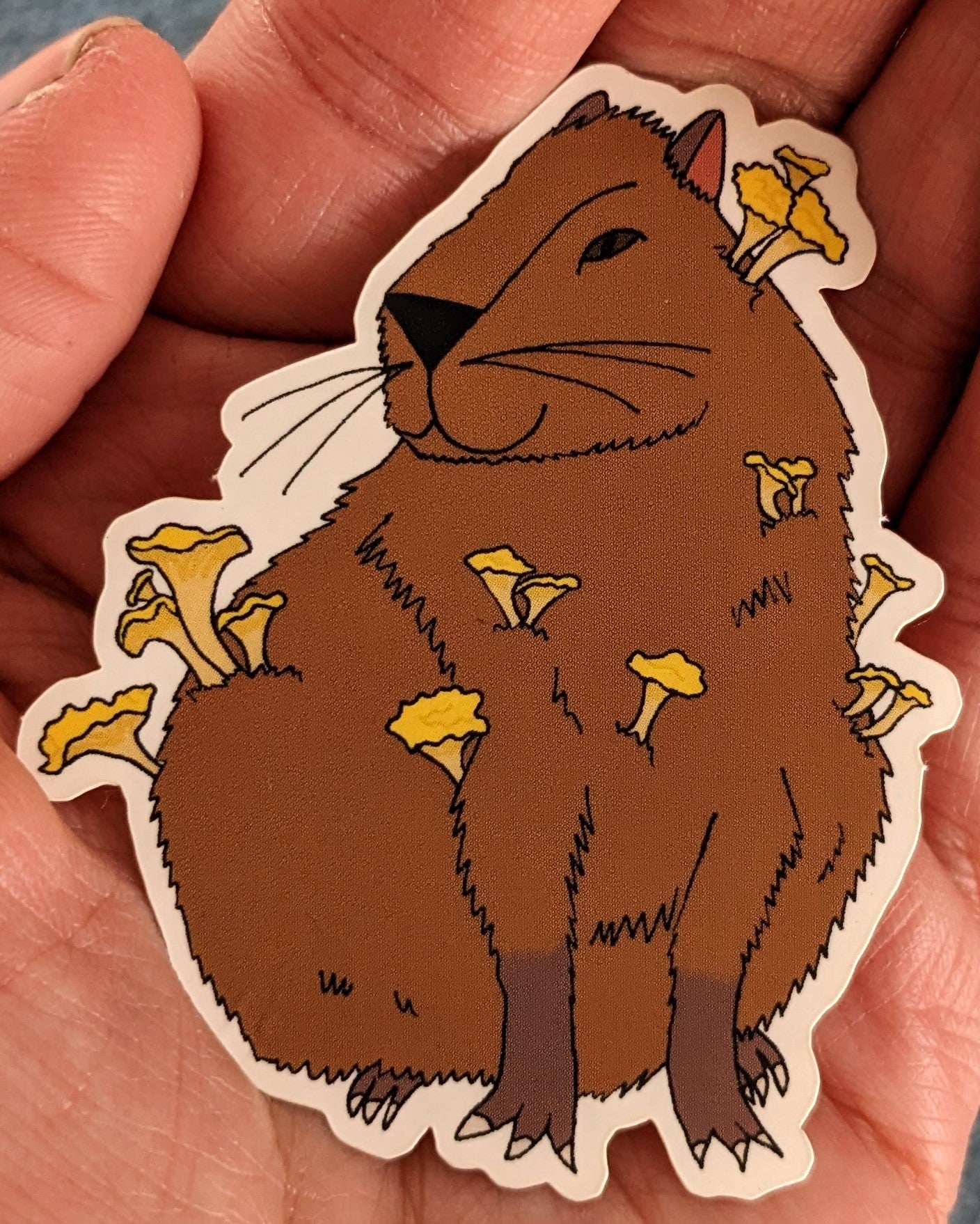 Chanterelle Capybara Die Cut Vinyl Sticker