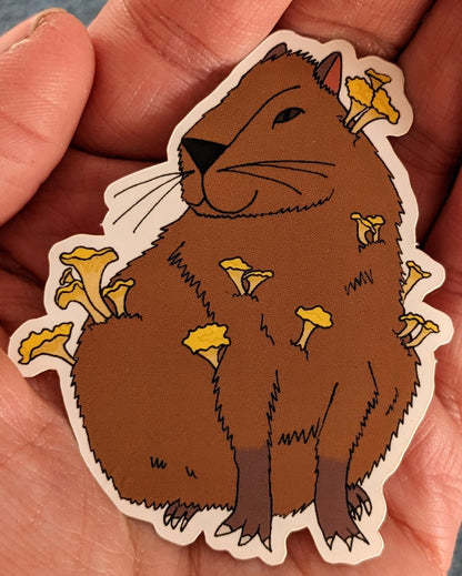 Chanterelle Capybara Vinyl Sticker